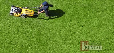 Equipment Rentals